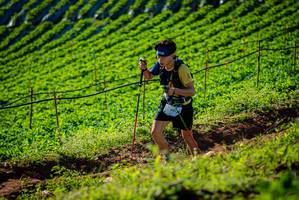 BIB: 
                            <button type="button" onclick="openModal(19160431)" class="btn btn-primary btn-sm float-right btn-popup" data-toggle="modal" data-target=".modal-high-quality">
                        <i class="fas fa-shopping-cart"></i> Add to Cart
                    </button>
                                            <button type="button" onclick="isThisMe(19160431, true)" class="btn btn-success btn-sm float-right btn-popup btn-isme hidden" data-toggle="tooltip" data-placement="bottom" title="นี่คือรูปของคุณใช่ไหม คลิกที่นี่เพื่อเอาเข้าอัลบั้ม">
                        <i class="fas fa-plus"></i> Add to album
                    </button>
                    <button type="button" onclick="isThisMe(19160431, false)" class="btn btn-warning btn-sm float-right btn-popup btn-isnotme hidden">
                        <i class="fas fa-ban"></i> Remove from album
                    </button>